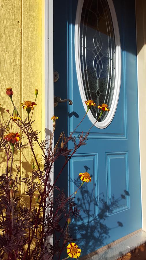 Sunshine Cottage Talkeetna Dış mekan fotoğraf